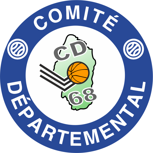 CD 68 BASKET COULEUR (002)